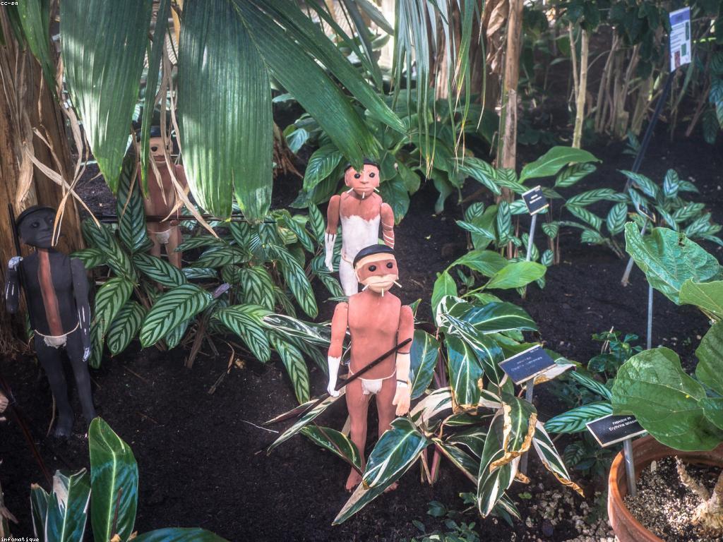 សកម្មភាពពិសេសក្នុងវិស័យវប្បធម៌