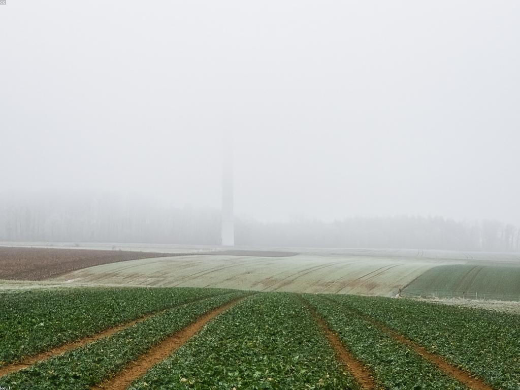 សំណួរ អំពីកសិកម្ម: គន្លងសម្រាប់អ្នកកសិករ