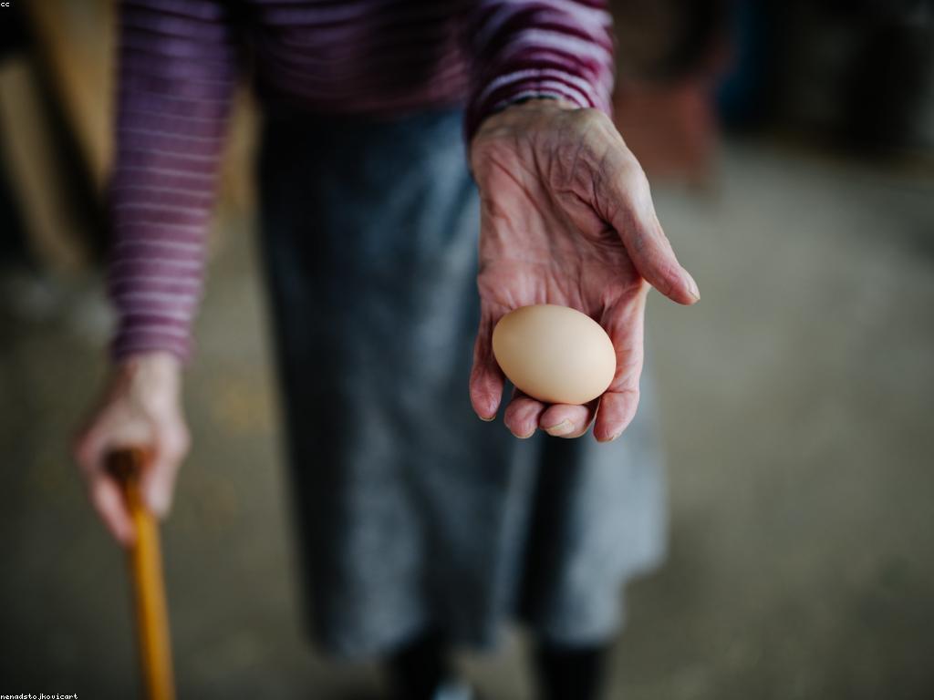 សកម្មភាពពិសេសក្នុងការពារបរិស្ថាន