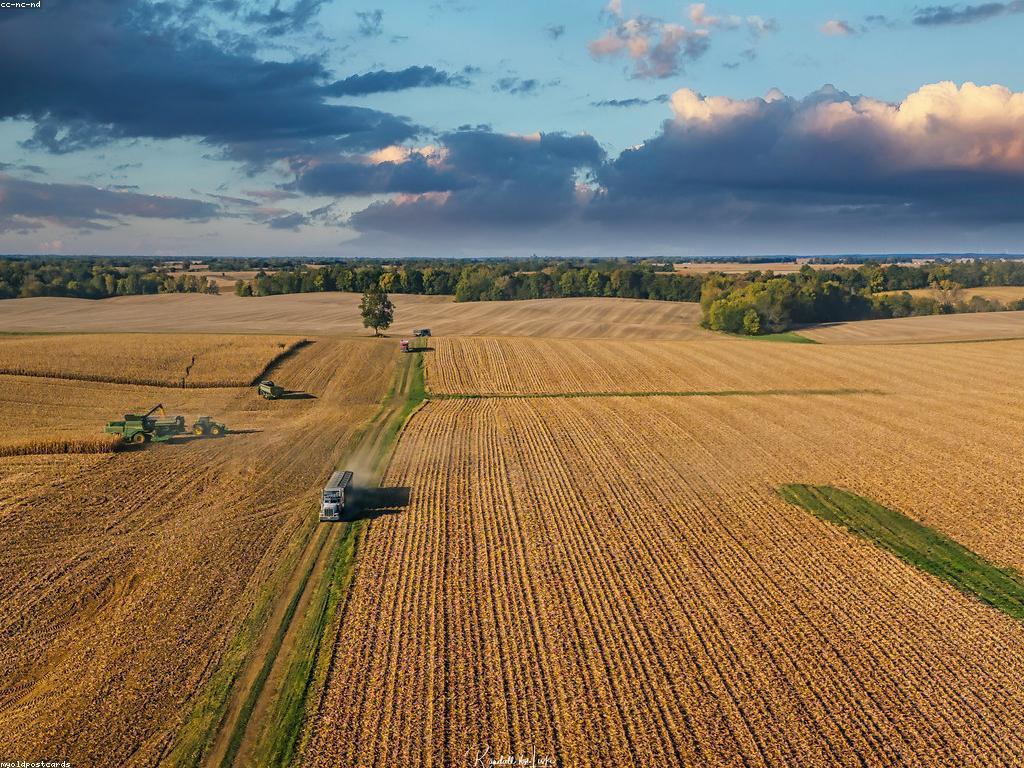 សំណួរ អំពីកសិកម្ម: ការយល់ដឹងអំពីការកសិកម្មសម្រាប់អ្នកថ្មី