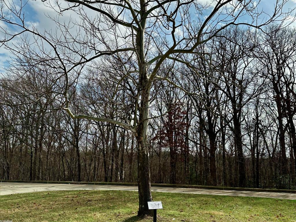 សកម្មភាពពិសេសក្នុងវិស័យអប់រំ